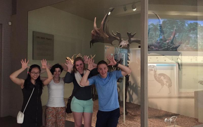 Group of 4 REU students standing in front of a moose using their hands to mimic moose antlers