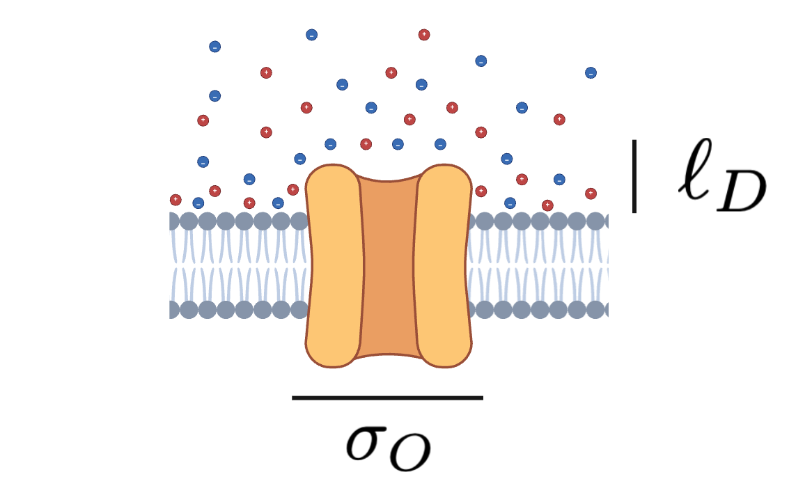 Schematic of an ion channel