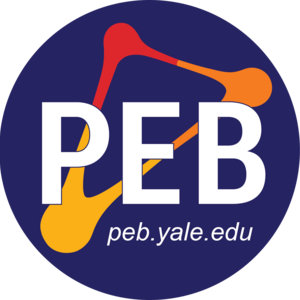 PEB Logo