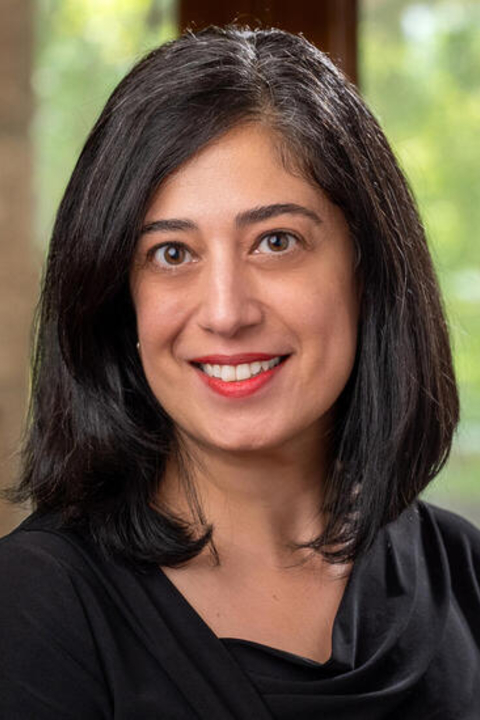 Headshot of Shirin Bahmanyar