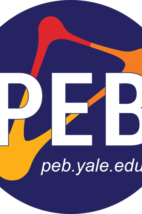 PEB Logo