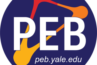 PEB Logo