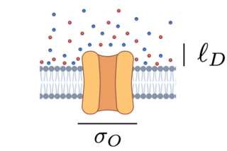 Schematic of an ion channel