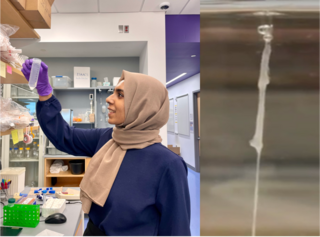 Left: Maisha in the lab; Right: Spider silk