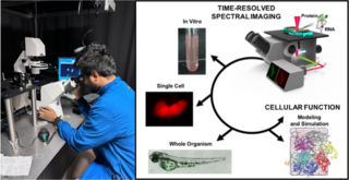 Left: Raibat in the lab; Right: Raibat's imaging setup can be used to image protein in vitro and in vivo