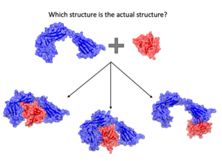 Diagram of two protein structures interacting with each other in different potential conformations