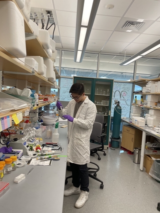 Zachary Gao Sun pipetting in the lab