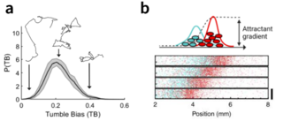 Graphical abstract of Lam's research