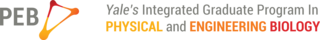 PEB logo