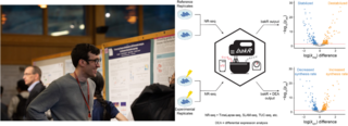 Left: Isaac Vock presenting a poster; Right: A graphical abstract of Vock's work