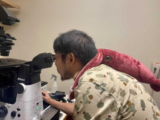Roy working at a microscope